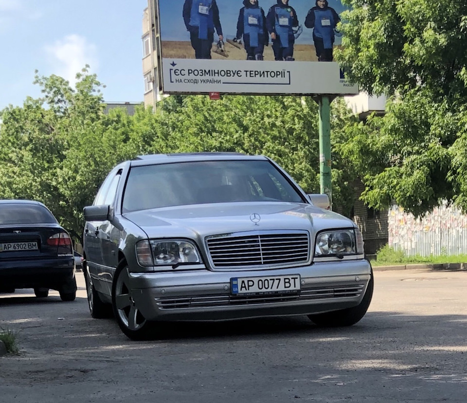 Продам в хорошие руки 1