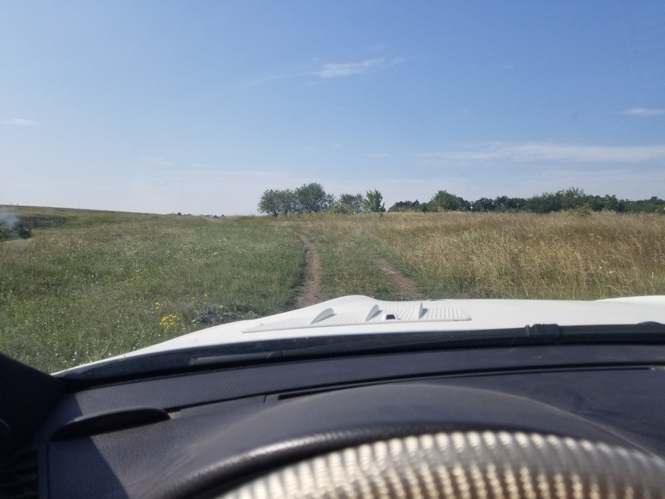 Погуляв. 1