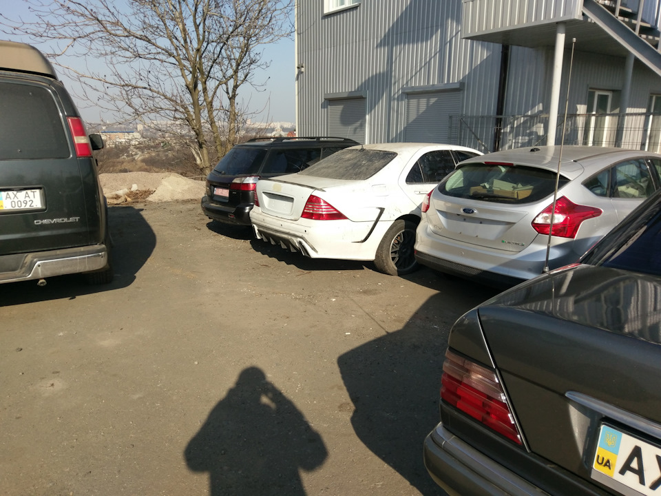 Пробудили від сплячки... 1