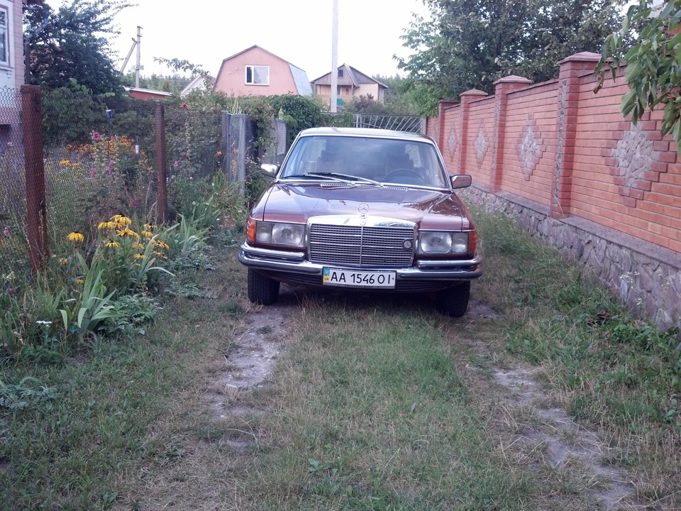 П'ятниця, вечір, дача. 3
