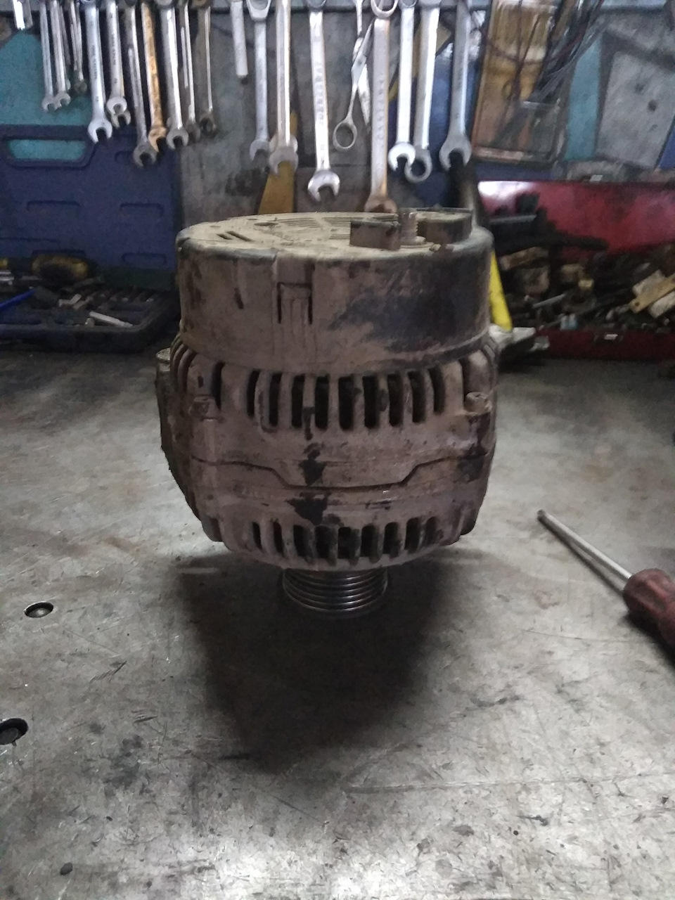 Запищало заскрипело. 1