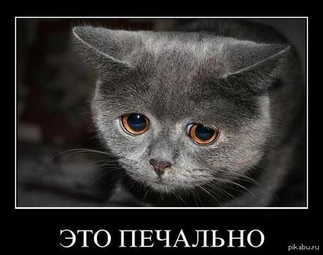 HELP! 1