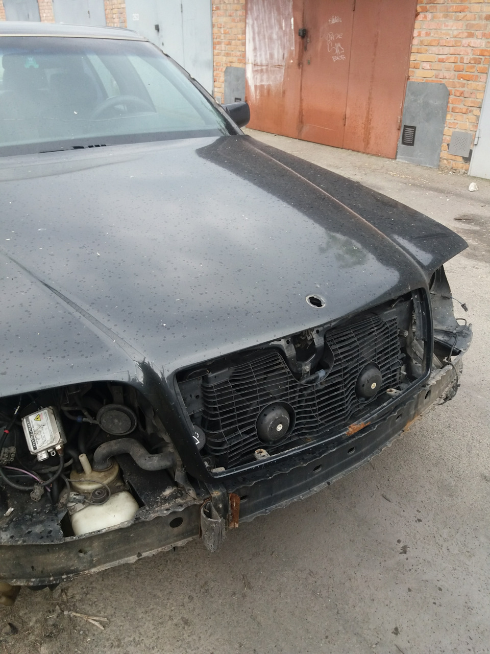 Нарешті фарбування. 3