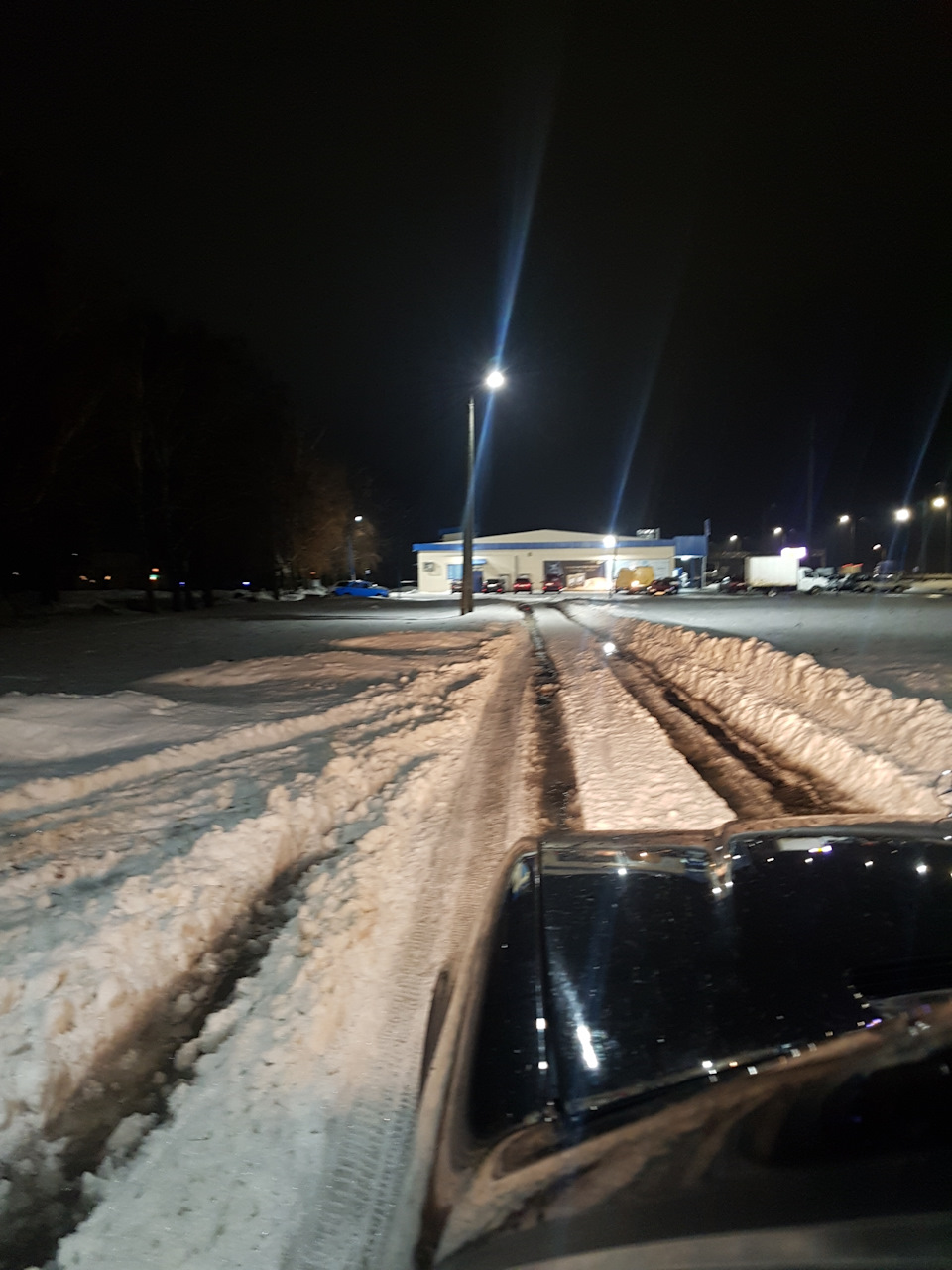Тонування лобового w 140 4