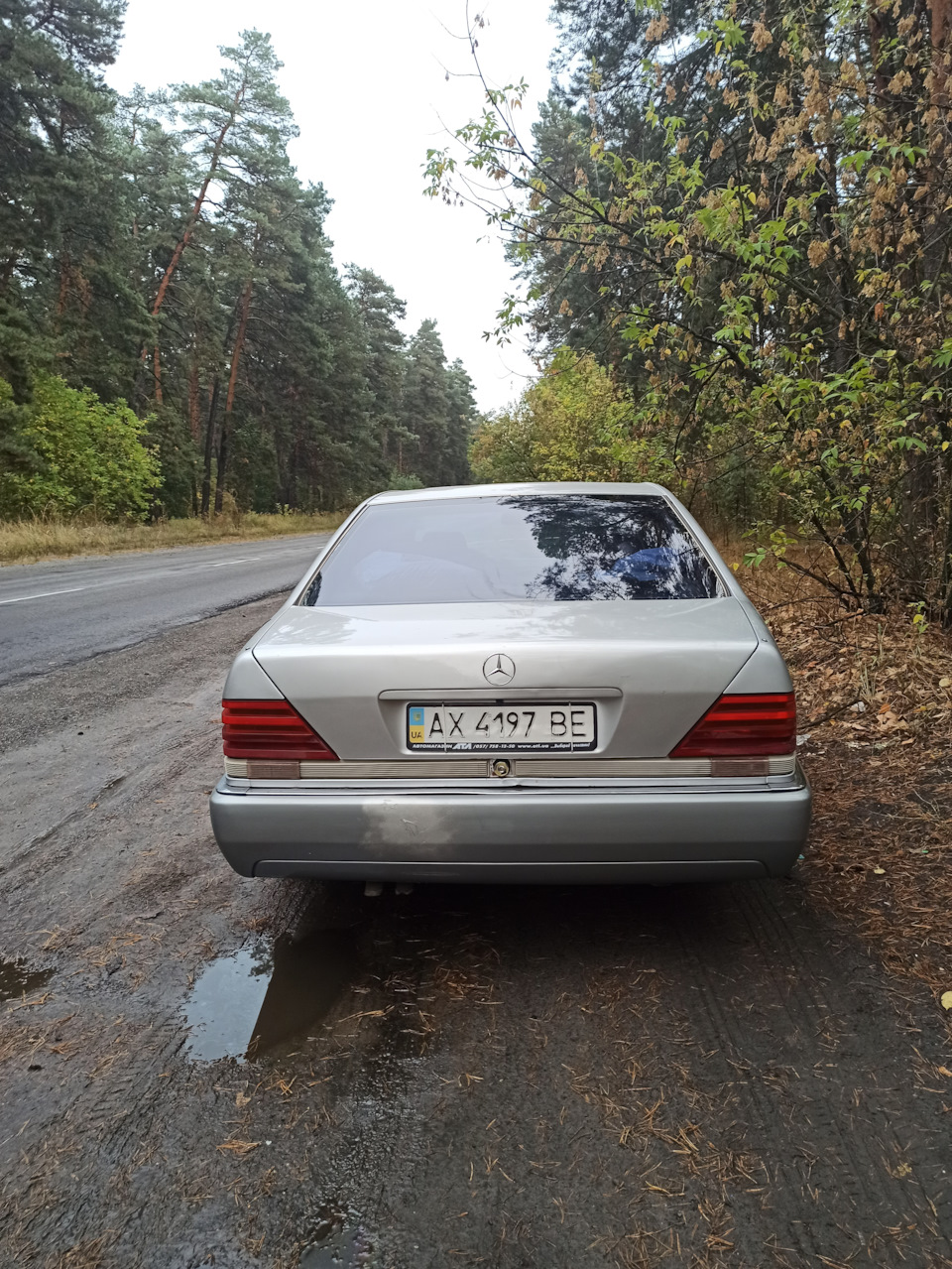 Поїздка в ліс грибами :) 3