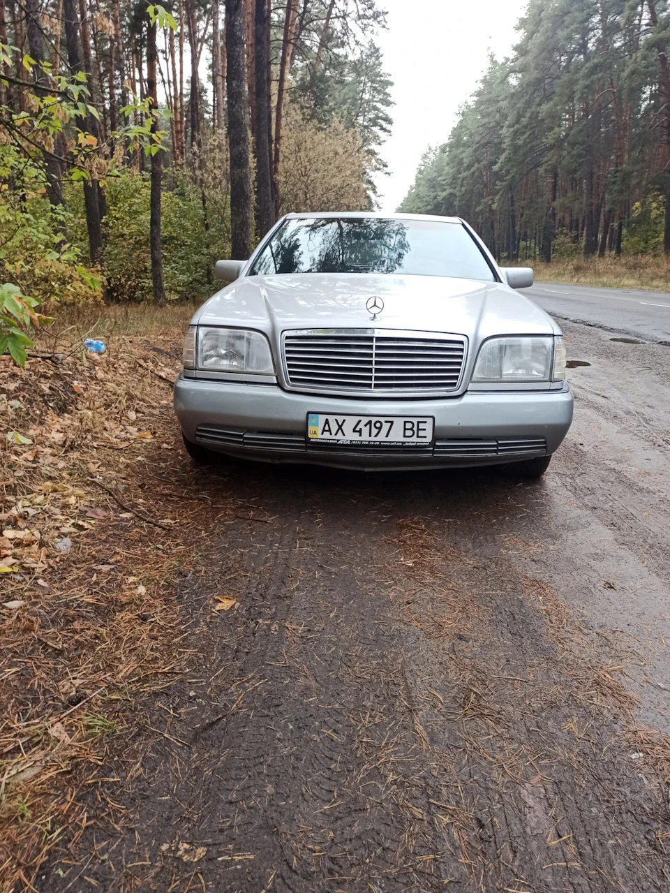 Поїздка в ліс грибами :)