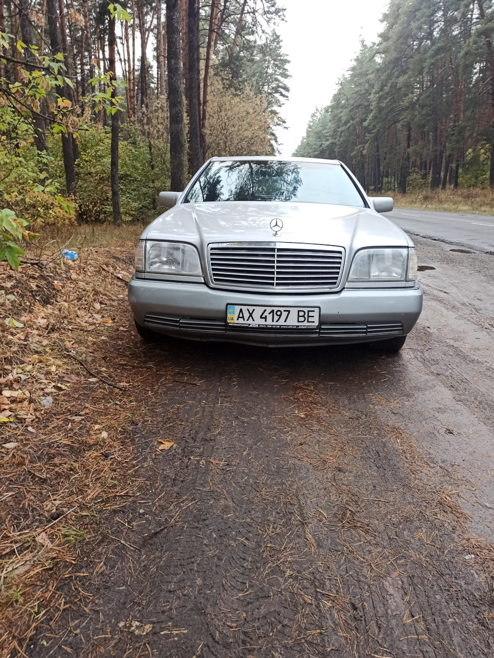 Поїздка в ліс грибами :) 1