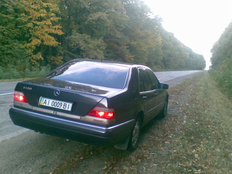 Останні фотографії. 3