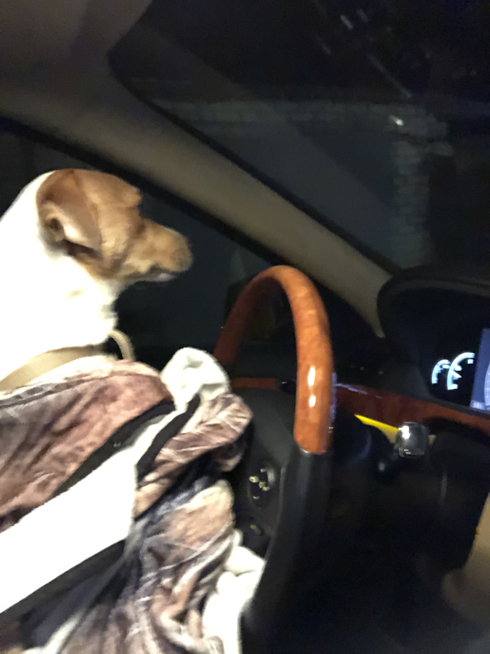 Місцевий асистент смуг) 3