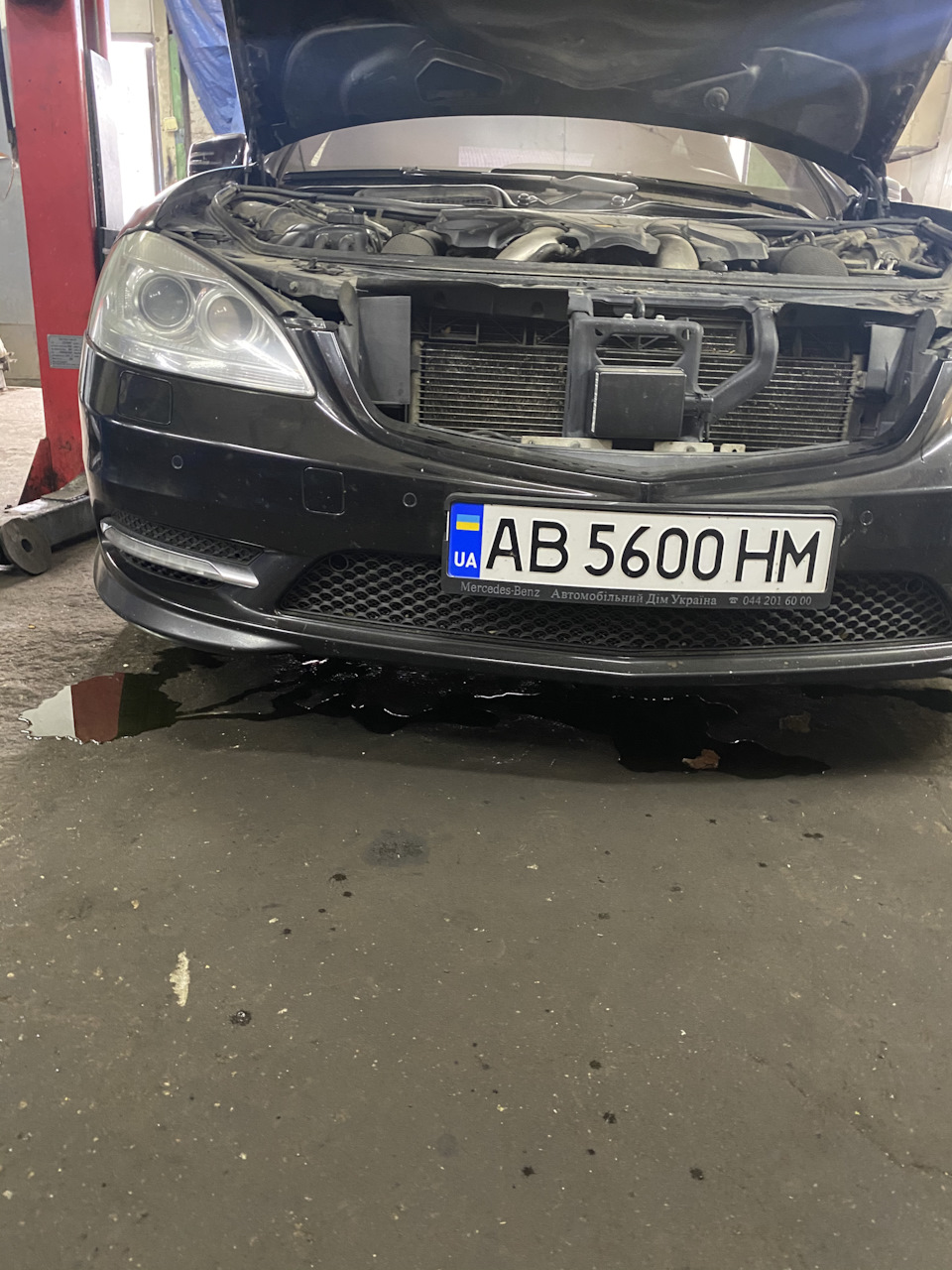 Нічого не віщувало біди ((( 3