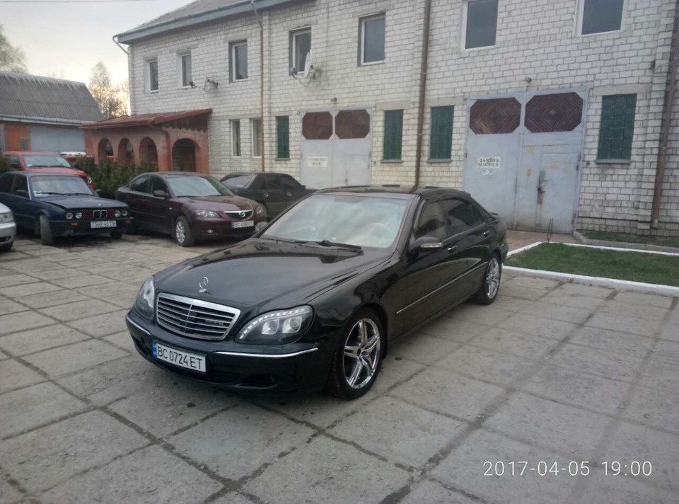 Свіжак 1
