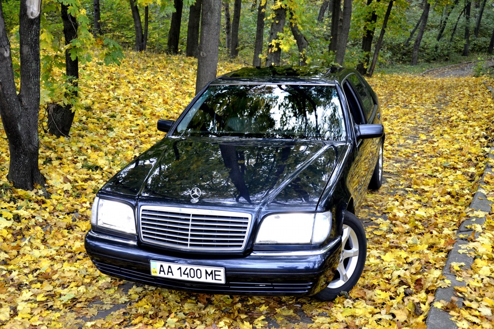 Трішки осені)) 3