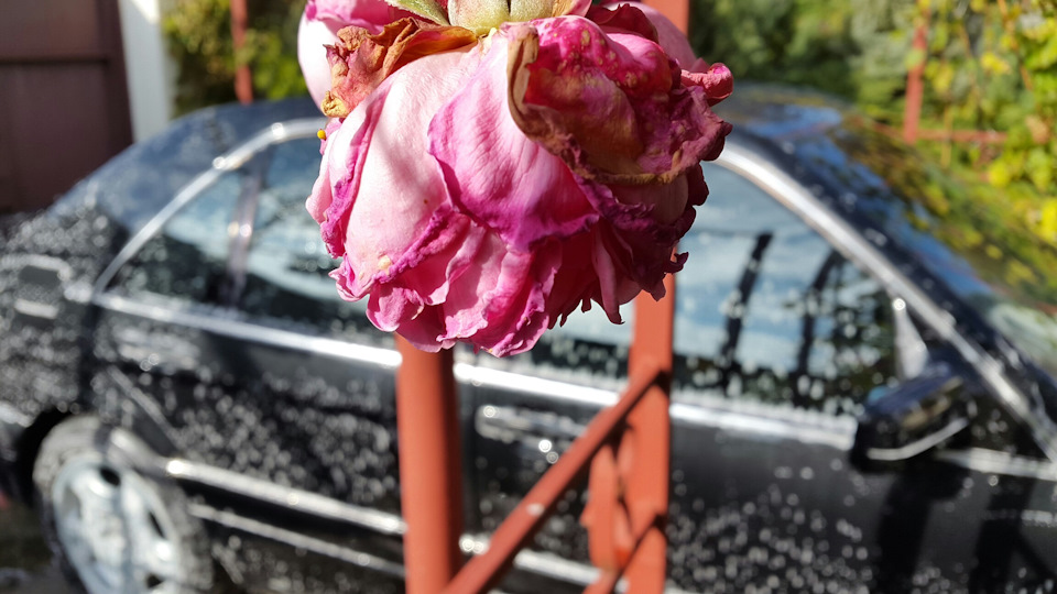 Поїздка в гараж 5