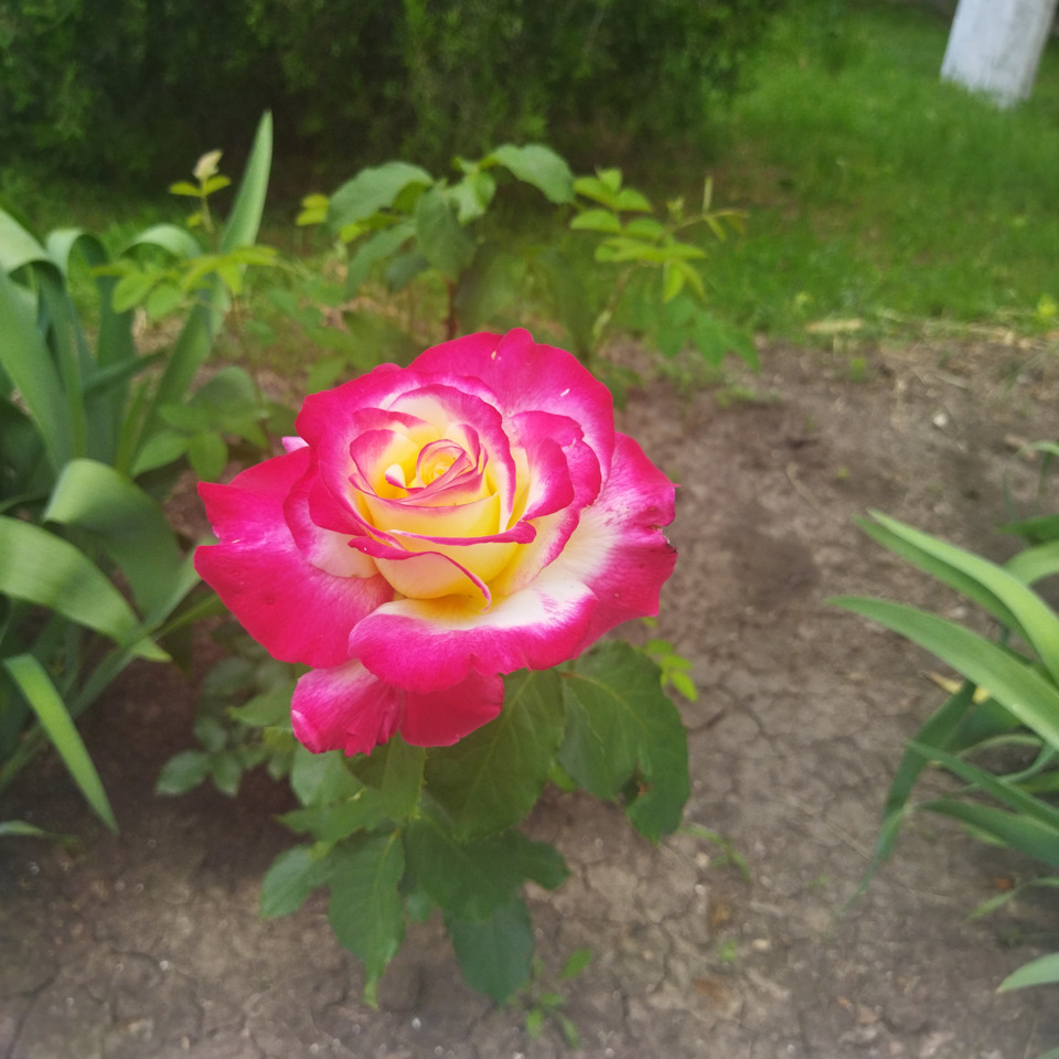 Околицями. 3