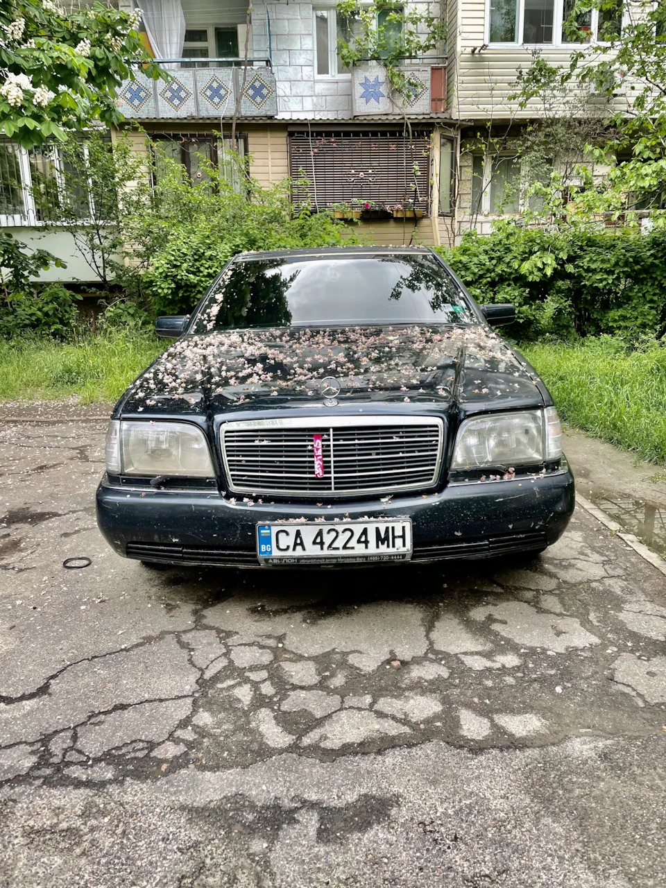 Майже рік політ відмінний)