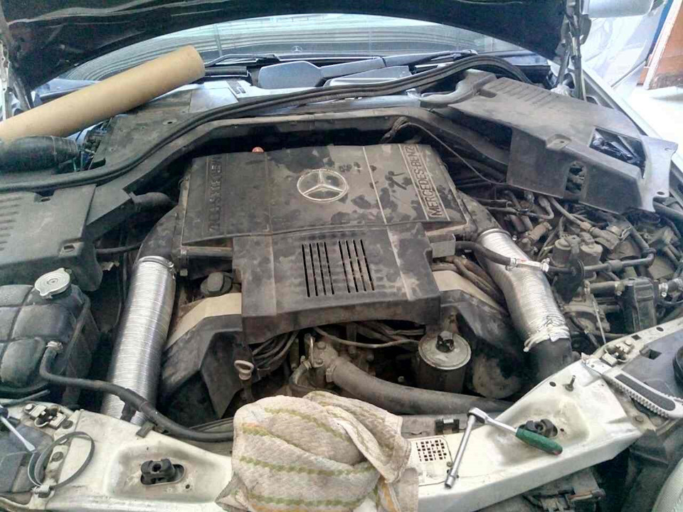 Змінив ніздрі 2