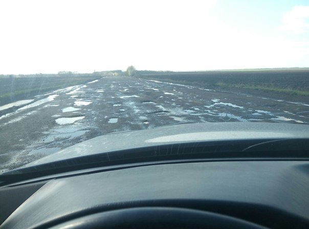 Змотався на вихідні в лісок) 2