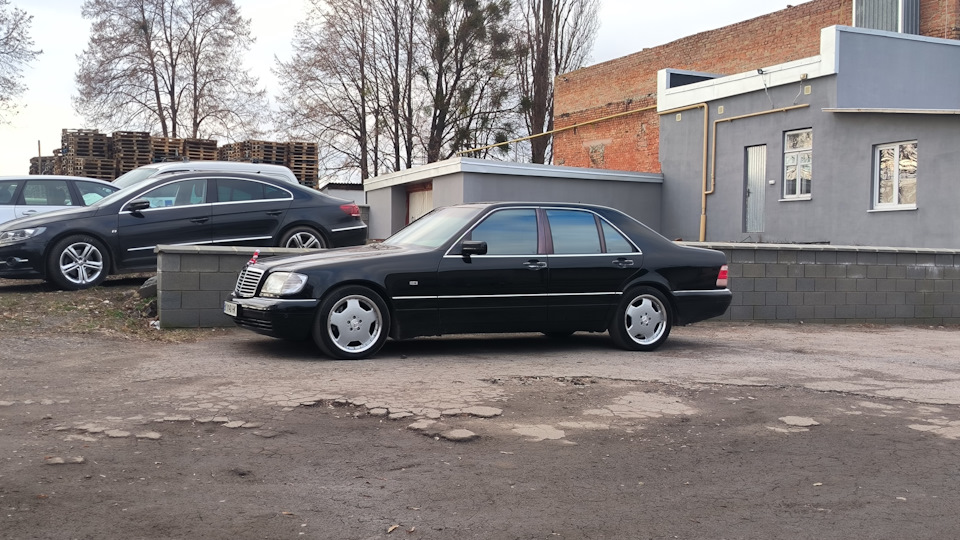 Викотив прогріти із зимової сплячки (Вирівняв підвіску) 3
