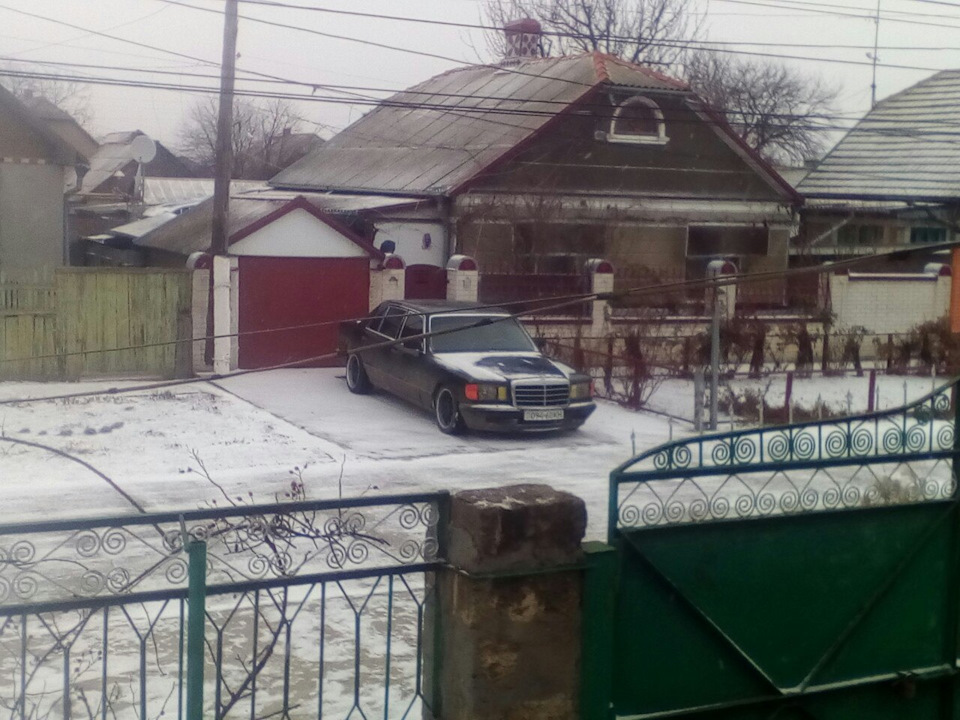 літо повернися і кіт нишпорить 2