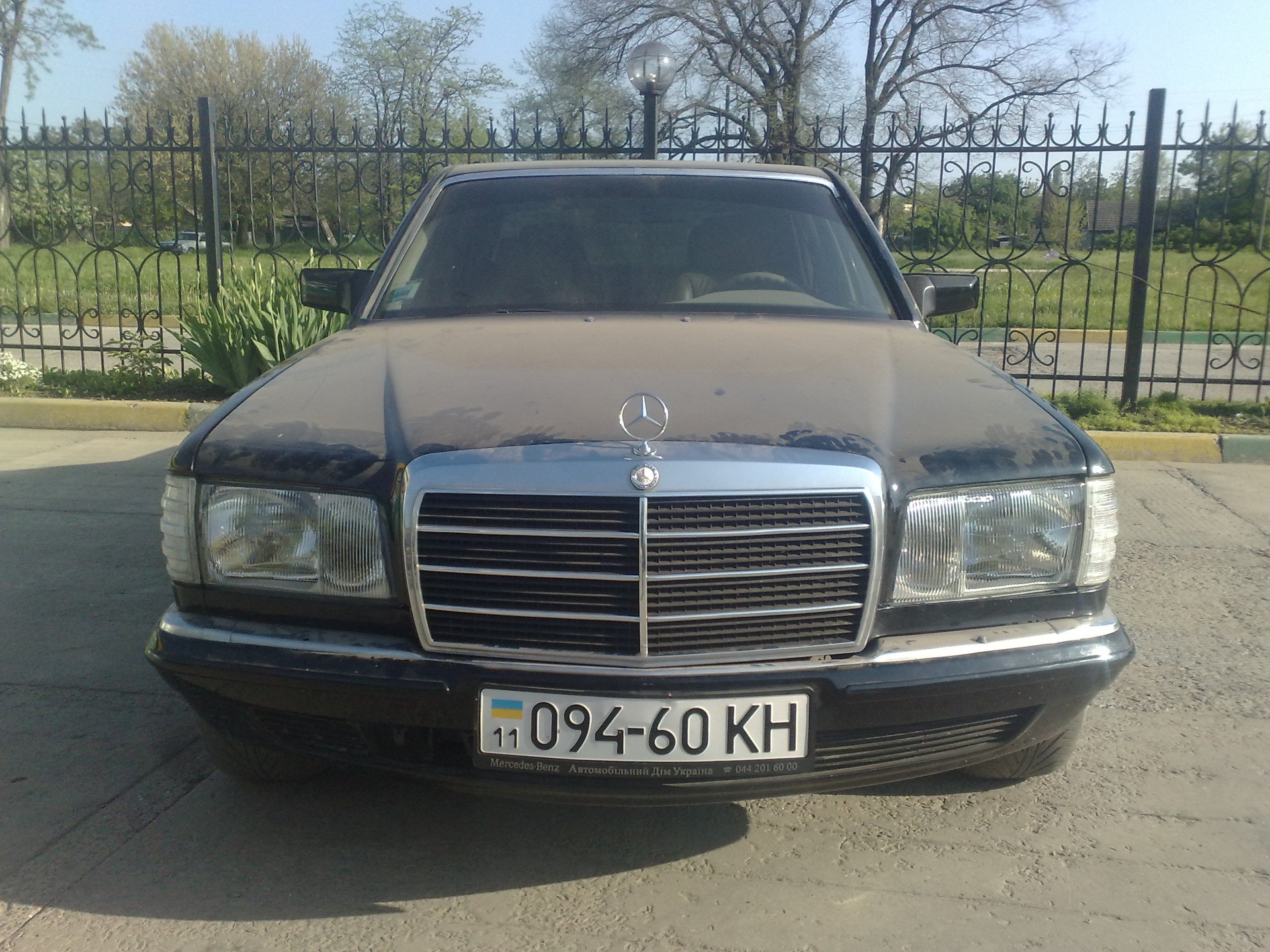 Нові фотографії 3