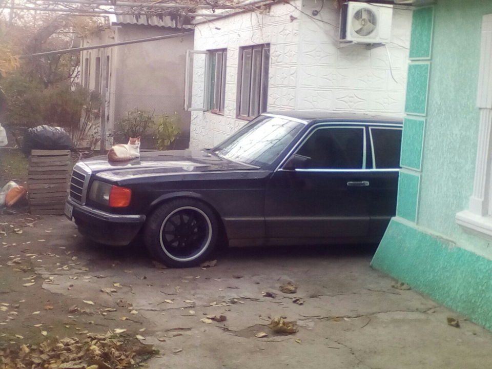 Знову кицьки 5