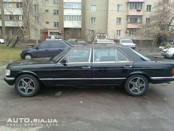 Просто фото 3
