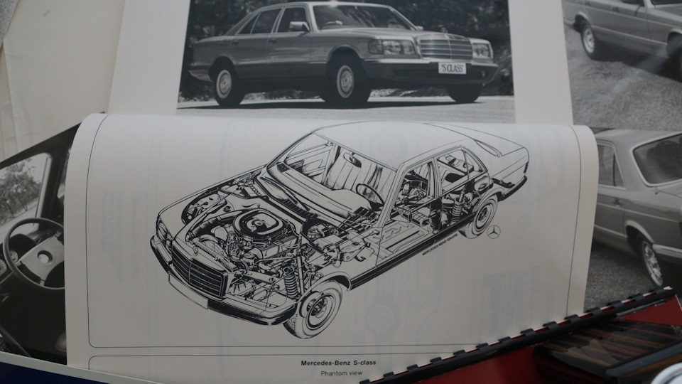 W126. Австралійська вистава 5