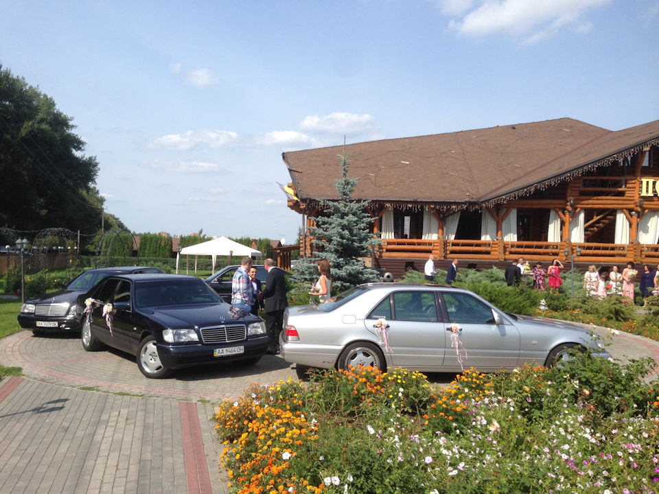 Давічка катали весілля одноклубника:) 2
