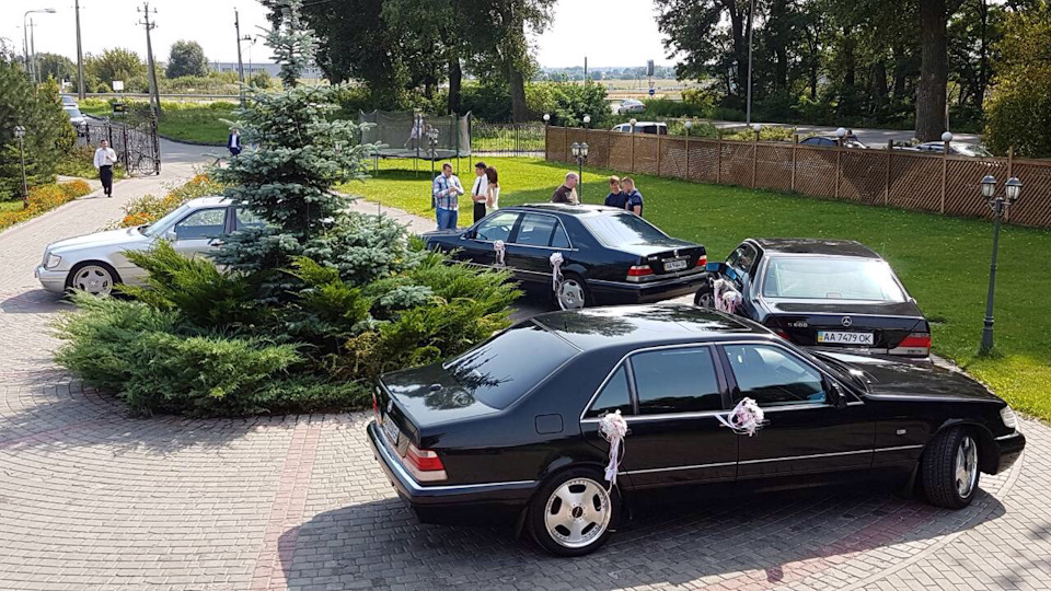 Давічка катали весілля одноклубника:) 4