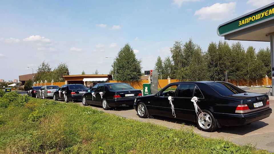 Давічка катали весілля одноклубника:) 5