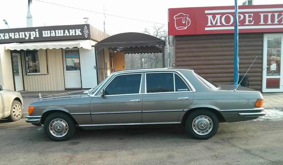Старий кінь борозни не псує. 1