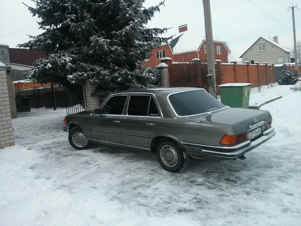 Старий кінь борозни не псує. 5