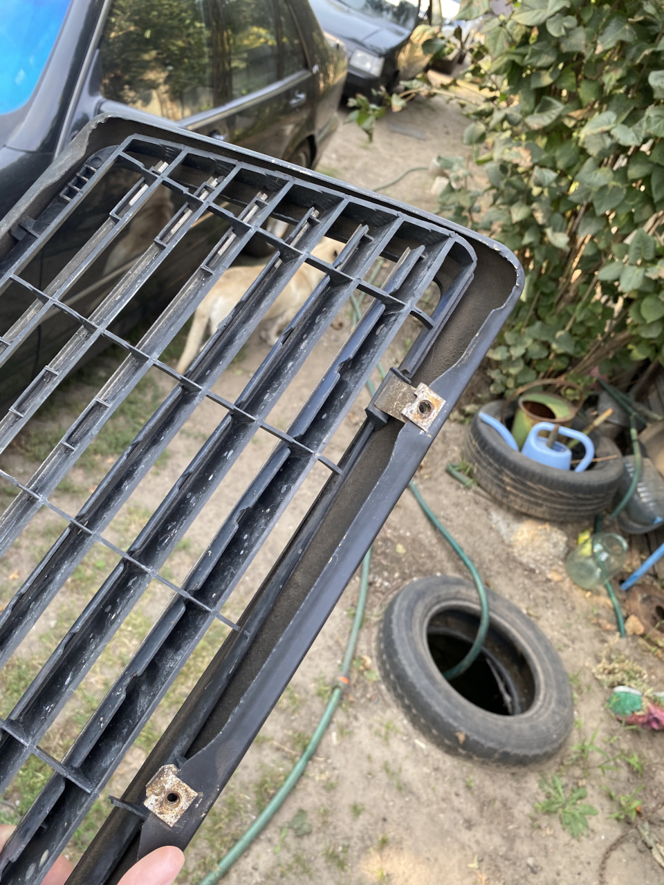 в пошуках скарбів грати S600 w140 5