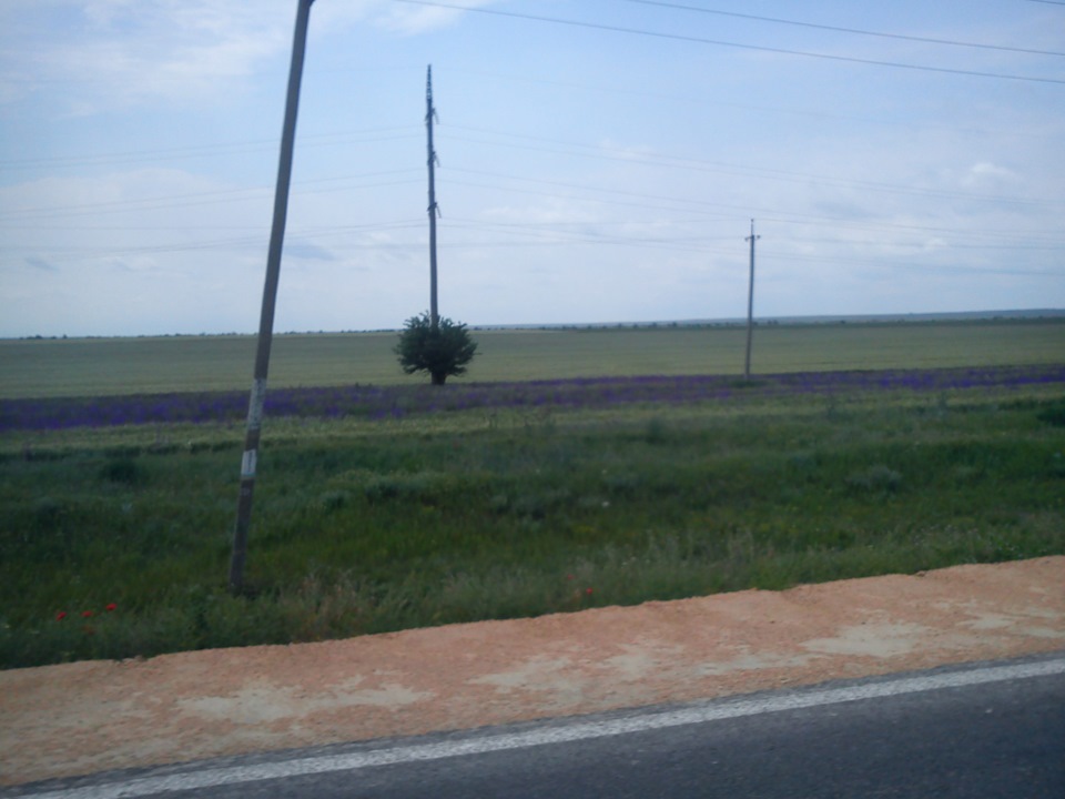 Крим. 4