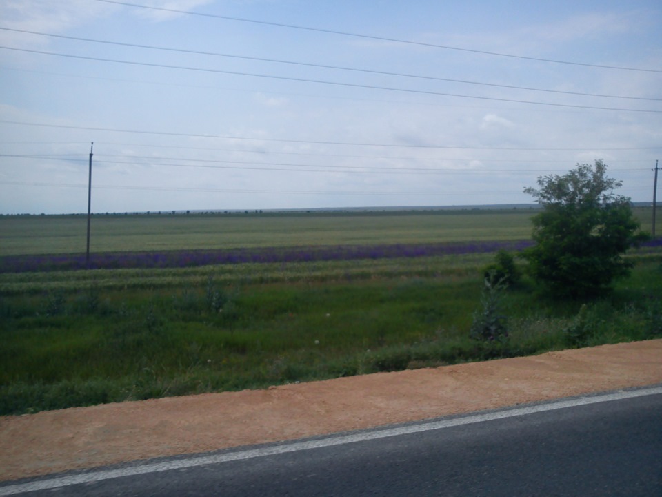 Крим. 5