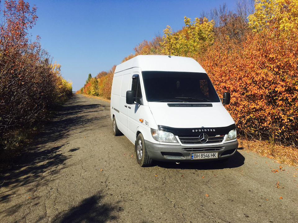 Осінь 🍂 2