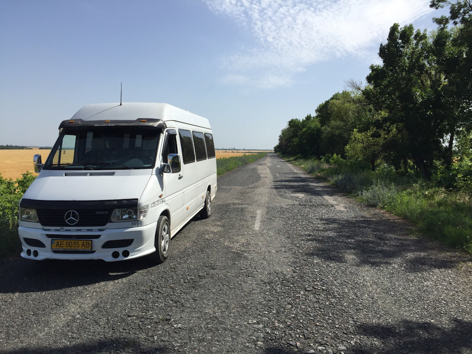 Фото в полі 2
