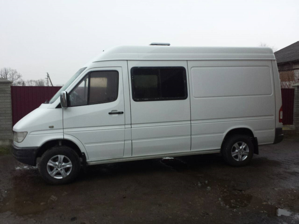 Дисулі, бризковики, підкрилки) 2
