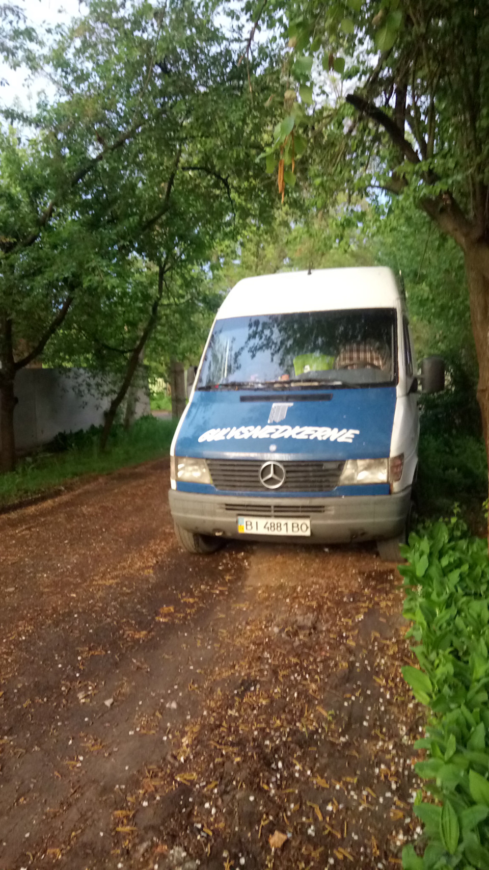 Проміжний звіт 1