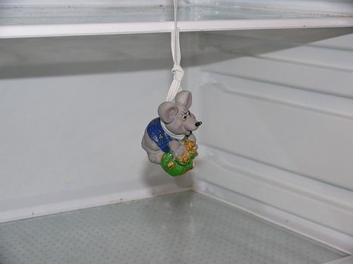 Сидимо з лайнером без роботи ( 1