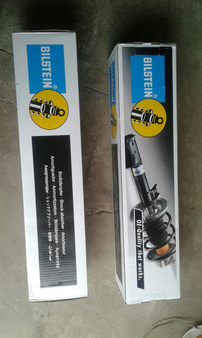 Купив стійки (Bilstein) 3