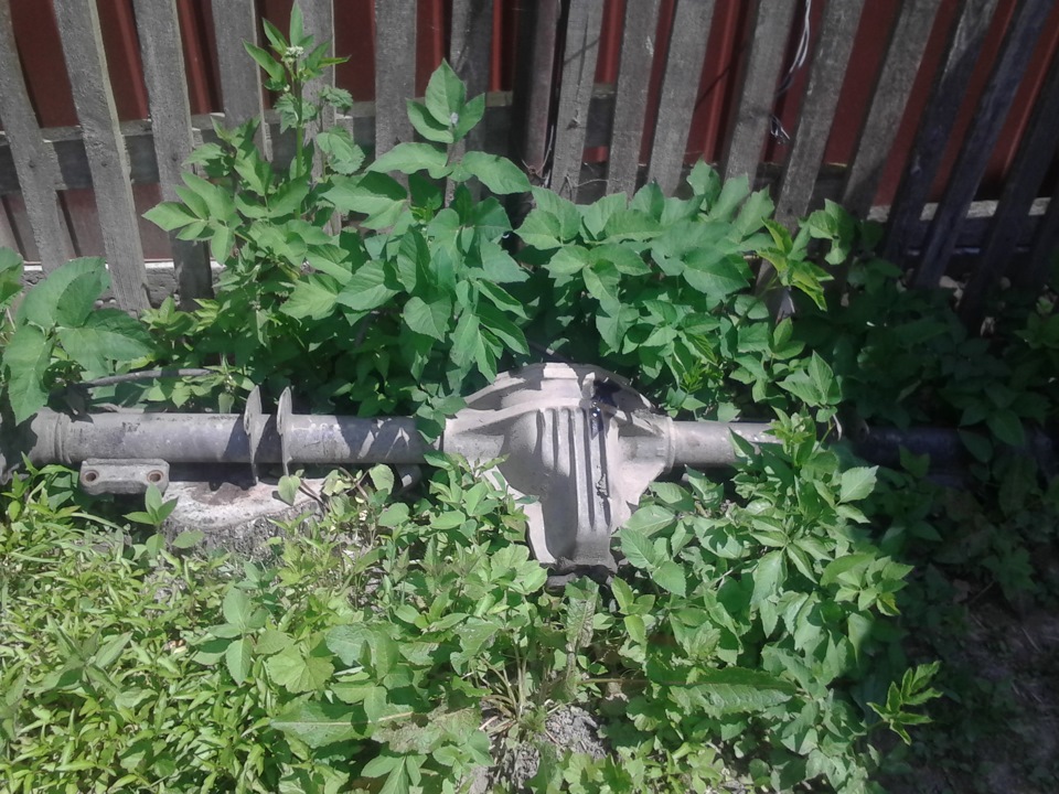 Розбуди водіїв автобусів) 2