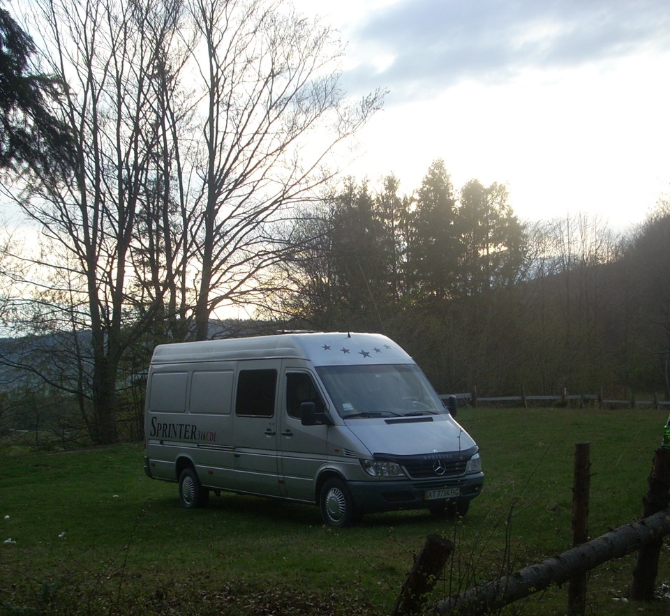 мой 316 1