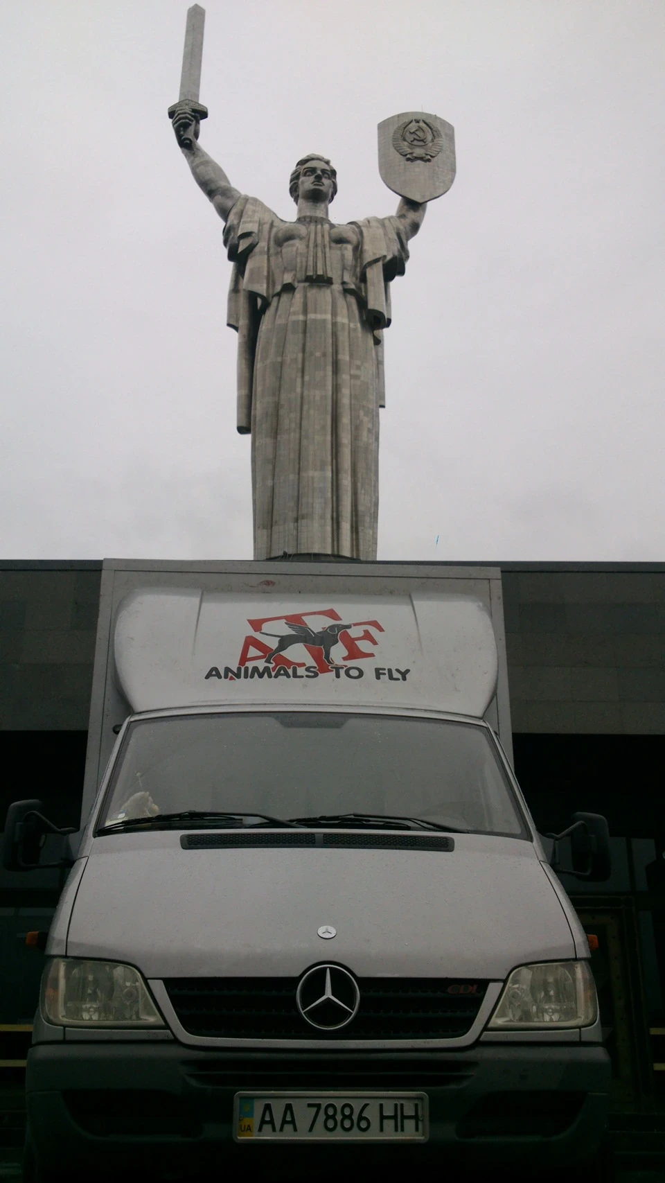 Так фотопідбірка