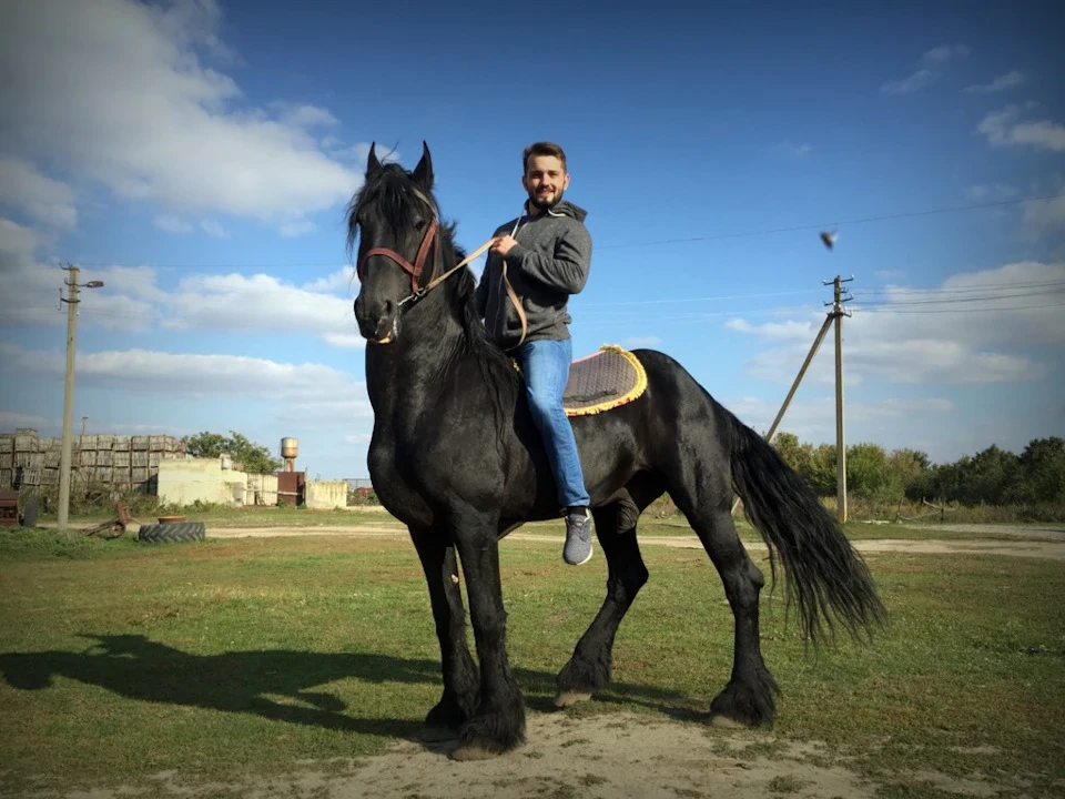 Поїздка до табору до коней)