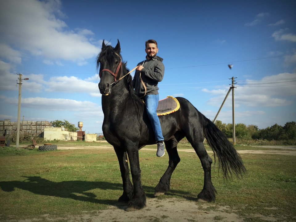 Поїздка до табору до коней) 1