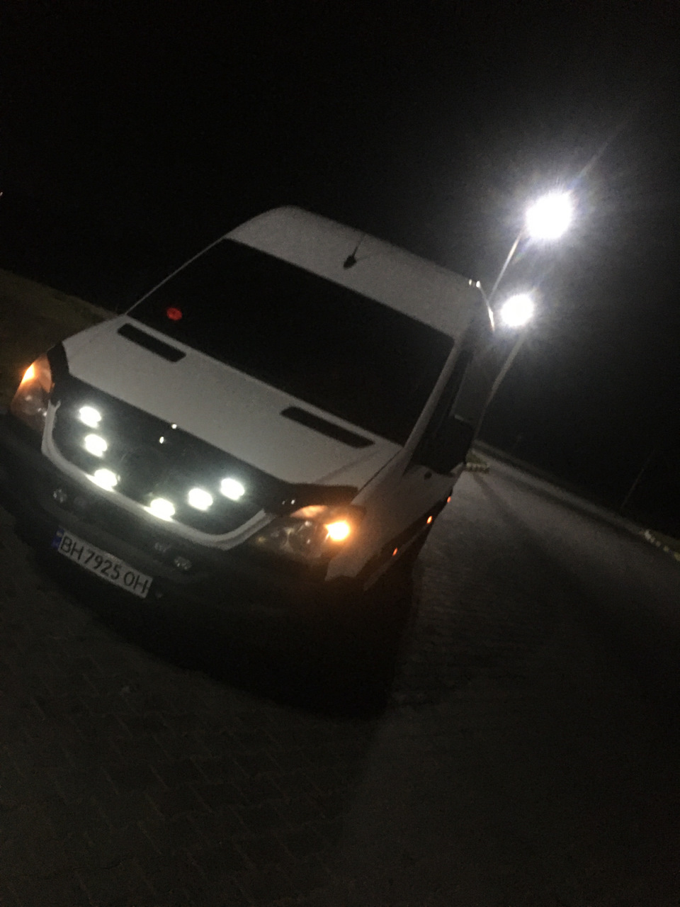 Підфарбував мурзика 2