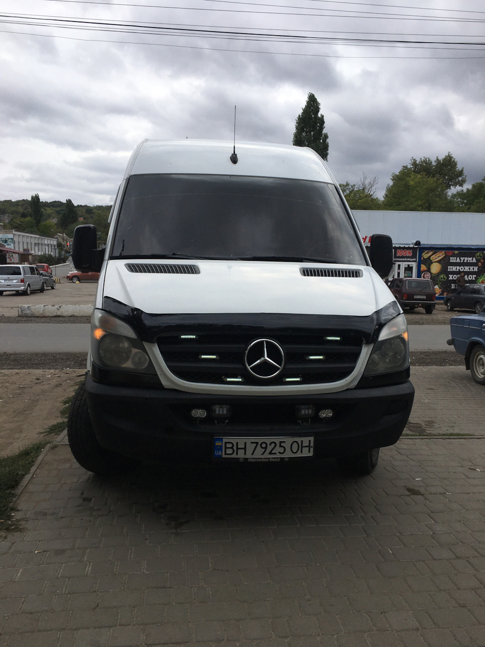 Підфарбував мурзика 1