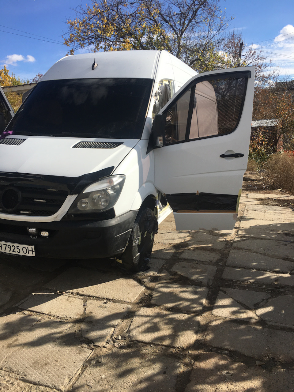 Підфарбував мурзика 4