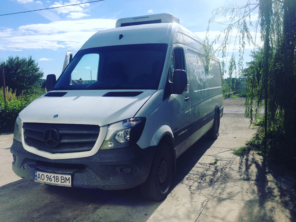 Зустріч із сином 3